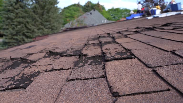 Best Storm Damage Roof Repair  in Keuka Park, NY